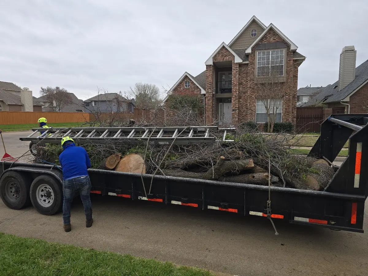 Expert Lot Clearing with proper safety equipment in Greenwood